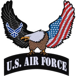 US AIR FORCE EAGLE
